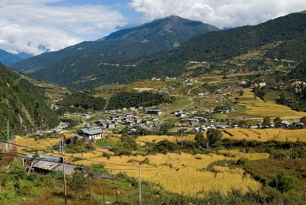 Dorji Phalam Travels