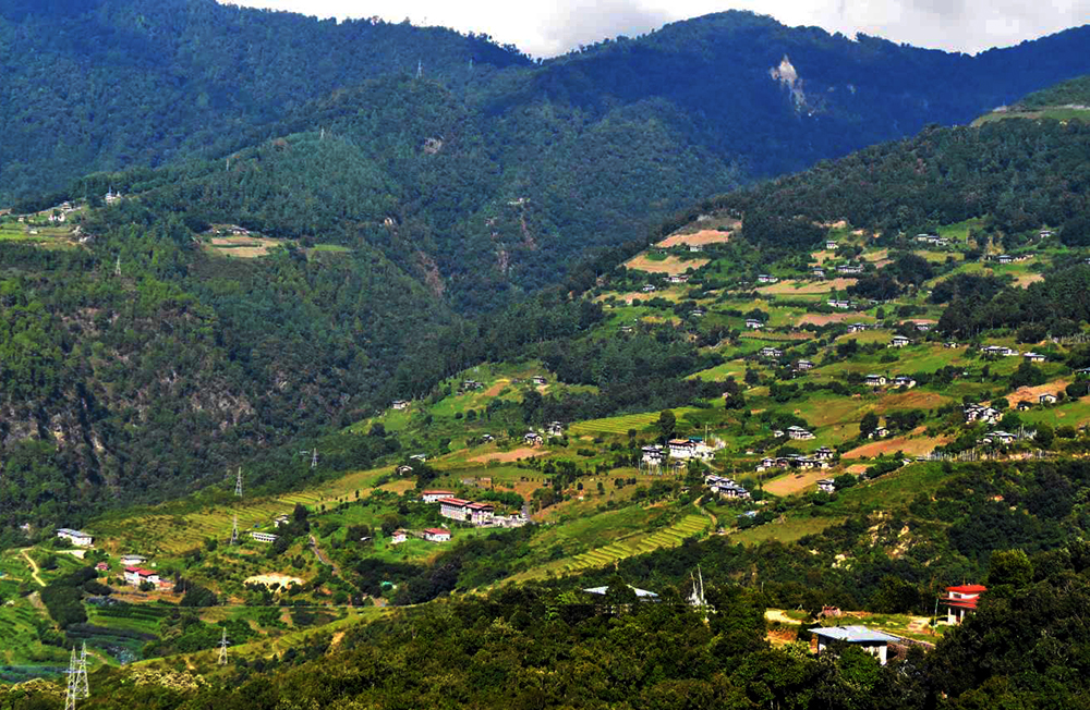 Dorji Phalam Travels