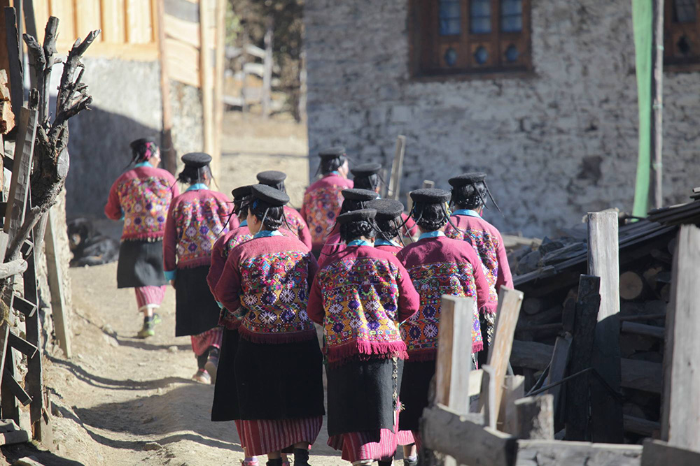 Dorji Phalam Travels