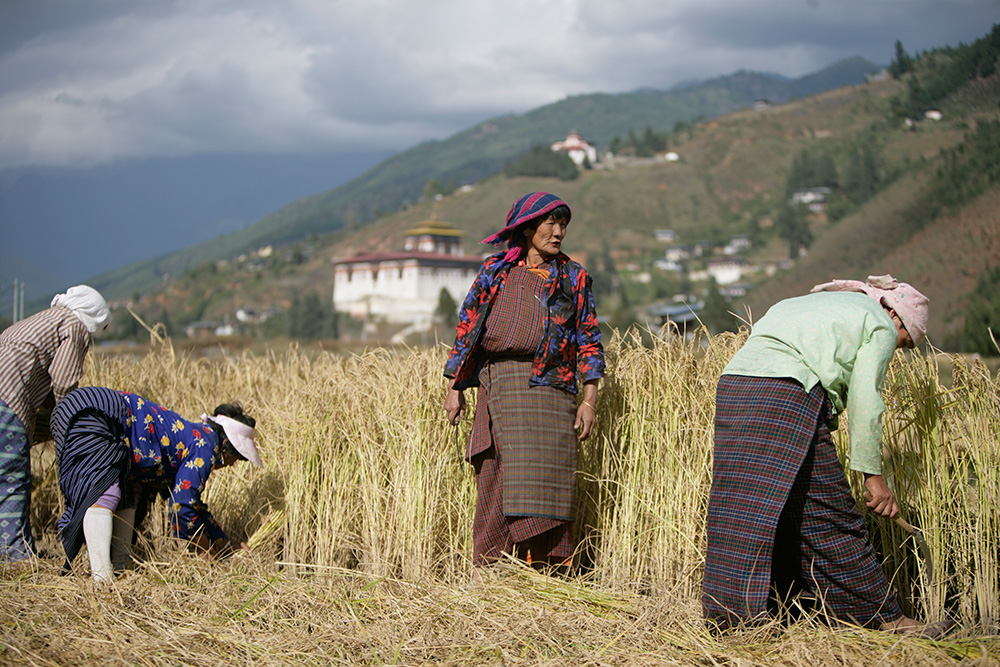 Dorji Phalam Travels