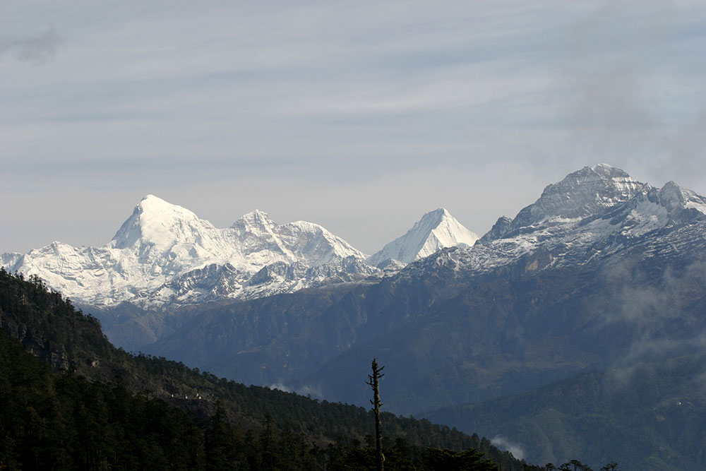 Dorji Phalam Travels