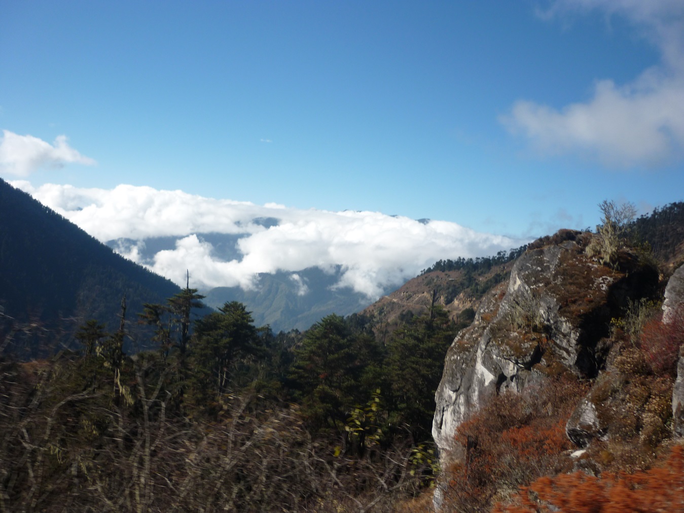 Dorji Phalam Travels