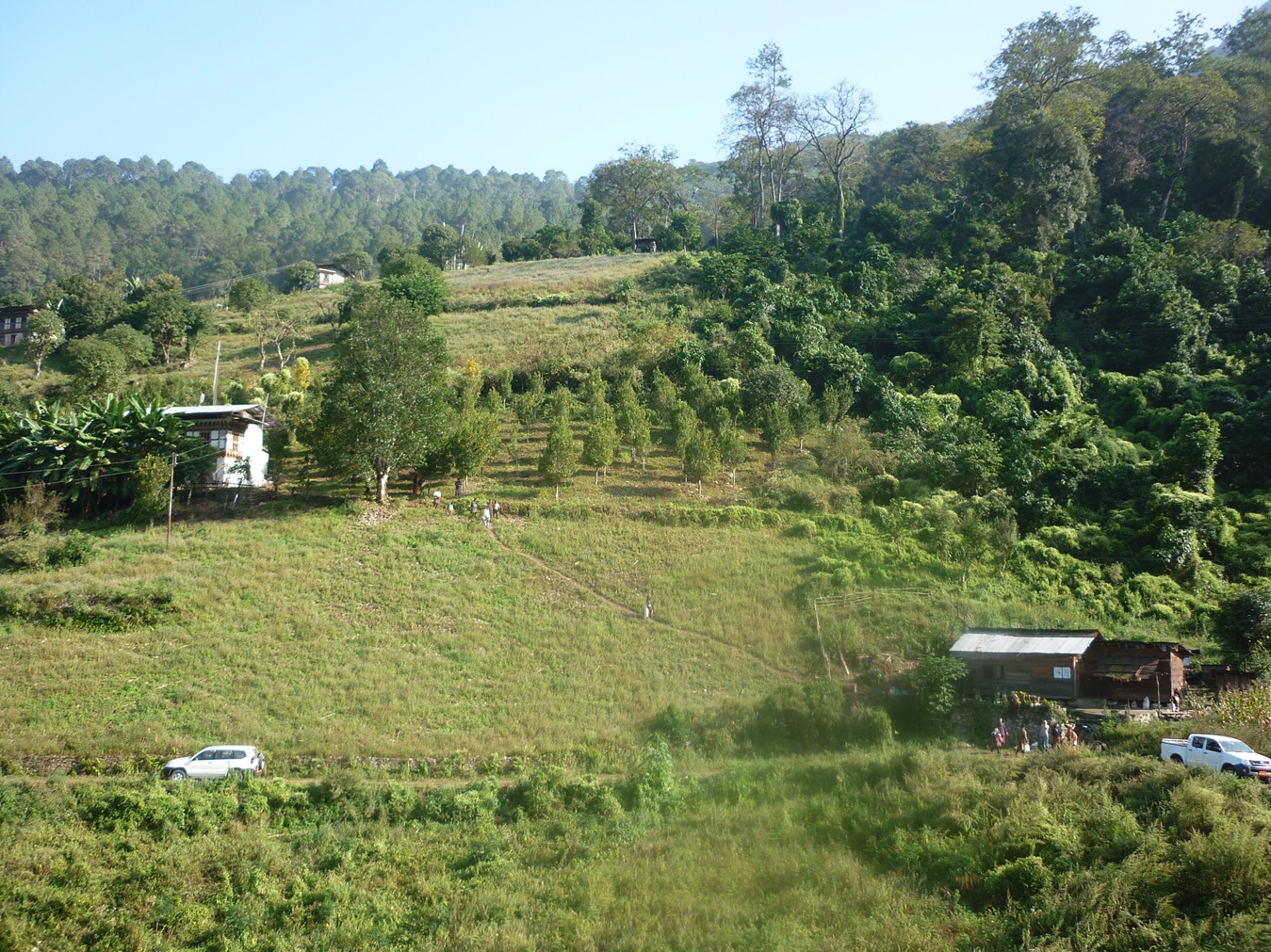 Dorji Phalam Travels